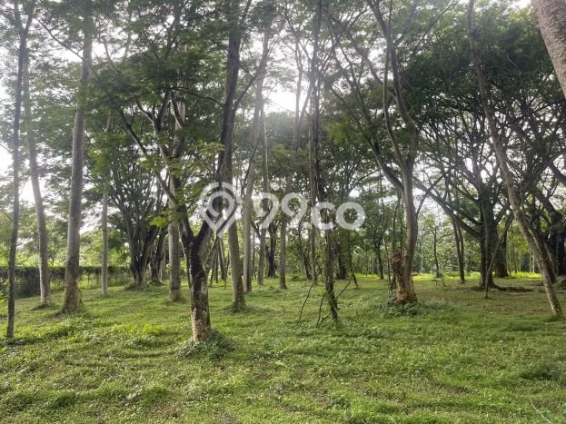 Dijual Tanah di Tangerang, Luas 3406m2 - Dijual Tanah di Tangerang, Luas 3406m2 -