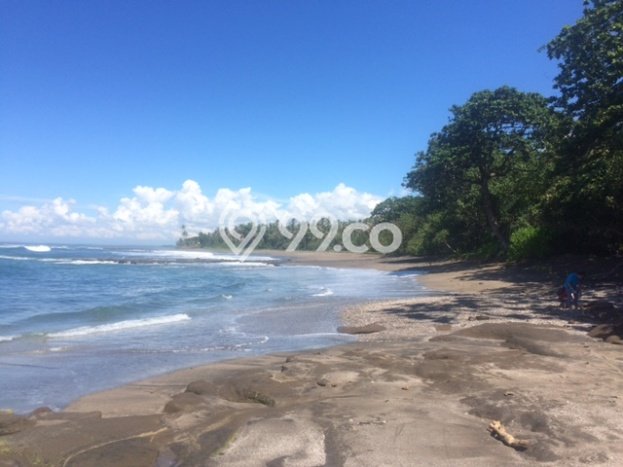 Kavling Tanah Dijual di Negara Jembrana Spesifikasi 37915m2 Kavling Tanah Dijual di Negara Jembrana Spesifikasi 37915m2