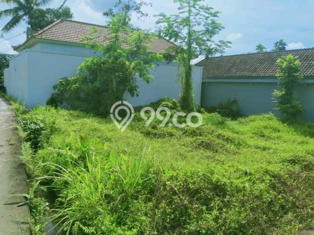 Tanah Kavling untuk Dijual di Ubud Gianyar 200m2 Tanah Kavling untuk Dijual di Ubud Gianyar 200m2