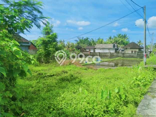 Tanah Kavling untuk Dijual di Ubud Gianyar 200m2 Tanah Kavling untuk Dijual di Ubud Gianyar 200m2