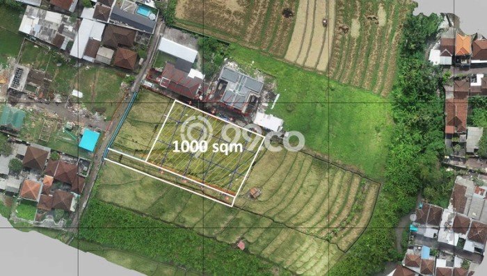 Dijual Tanah Lokasi Canggu, Badung Seluas 1000m2 Dijual Tanah Lokasi Canggu, Badung Seluas 1000m2