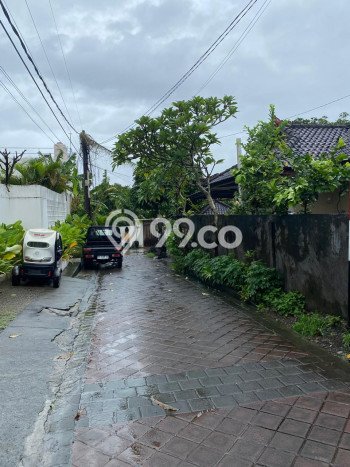 Dijual Tanah 320m2 di canggu, Badung Dijual Tanah 320m2 di canggu, Badung