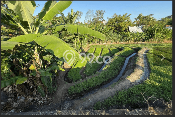 Tanah Dijual di Badung Seluas 1067m2 Strategis Tanah Dijual di Badung Seluas 1067m2 Strategis