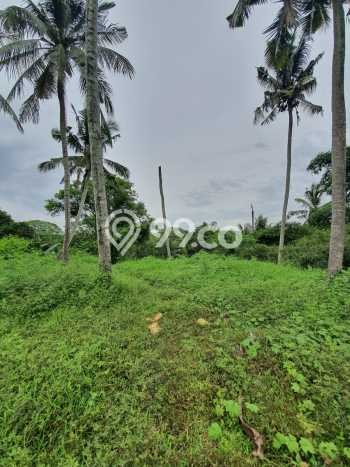 Tanah Kavling Dijual di Badung dengan Spesifikasi 1898m2 Tanah Kavling Dijual di Badung dengan Spesifikasi 1898m2