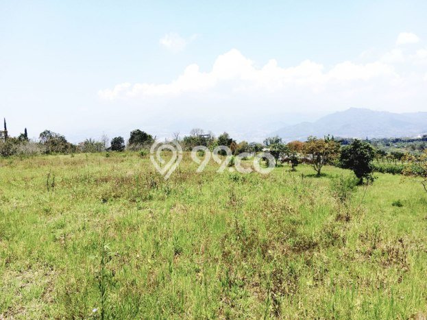 Kavling Tanah untuk Dijual di Batu, Malang, Luas 10436m2 Kavling Tanah untuk Dijual di Batu, Malang, Luas 10436m2