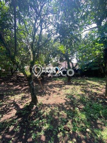 Dijual Rumah 4 Kamar Lokasi Ideal Nyaman dan Strategis di Klojen Dijual Rumah 4 Kamar Lokasi Ideal Nyaman dan Strategis di Klojen