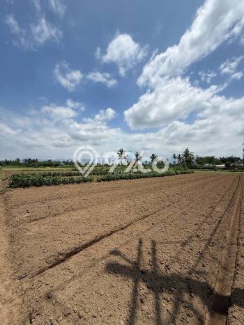 Lahan untuk Dijual Lokasi Pakis, Malang Luas 6738m2 SHM Lahan untuk Dijual Lokasi Pakis, Malang Luas 6738m2 SHM