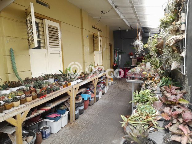 Dijual Hunian Mewah dengan Fasilitas Sekitar Komplit di Klojen, Malang Dijual Hunian Mewah dengan Fasilitas Sekitar Komplit di Klojen, Malang