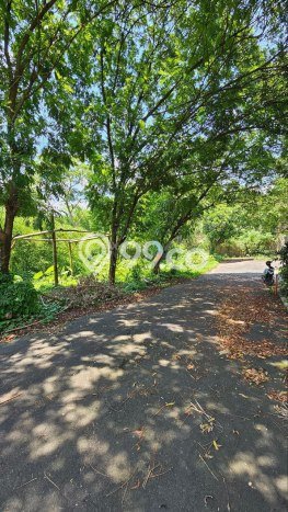 Tanah Kavling Dijual di Tidar, Malang dengan Luas Tanah 1602m2 Tanah Kavling Dijual di Tidar, Malang dengan Luas Tanah 1602m2