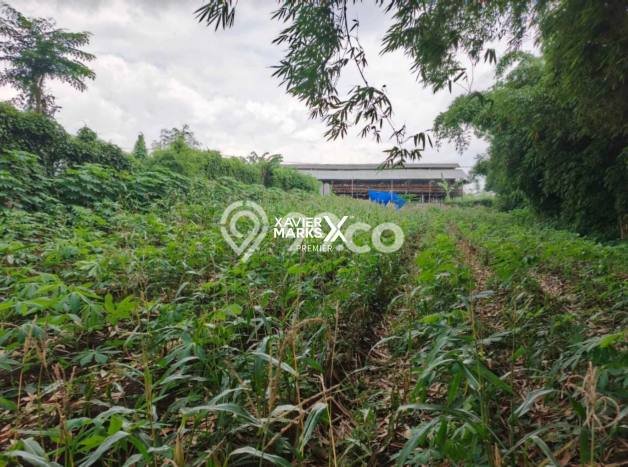 Kavling Tanah Dijual di Sukun, Malang, Luas 1635m2 Area Strategis Kavling Tanah Dijual di Sukun, Malang, Luas 1635m2 Area Strategis