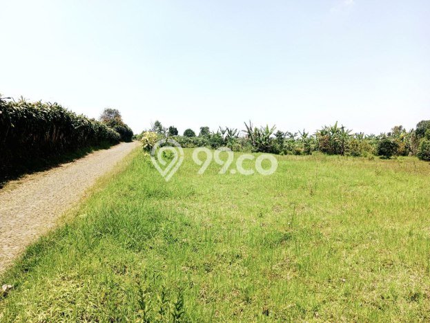 Kavling Tanah untuk Dijual di Batu, Malang, Luas 10436m2 Kavling Tanah untuk Dijual di Batu, Malang, Luas 10436m2