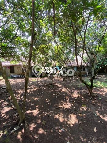 Dijual Rumah 4 Kamar Lokasi Ideal Nyaman dan Strategis di Klojen Dijual Rumah 4 Kamar Lokasi Ideal Nyaman dan Strategis di Klojen
