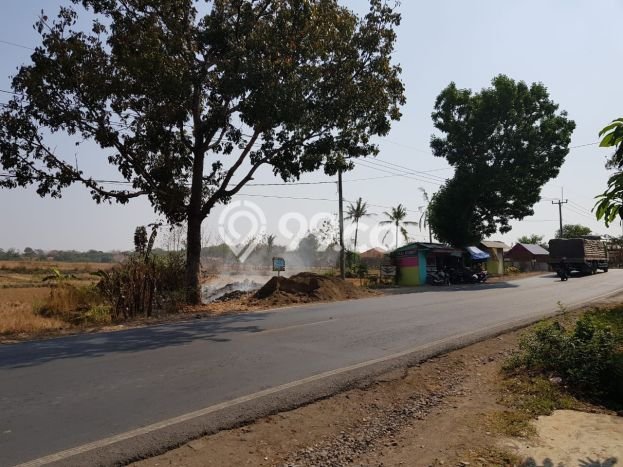 Tanah Investasi Dijual di Majalengka Punya Luas 2700m2 Tanah Investasi Dijual di Majalengka Punya Luas 2700m2