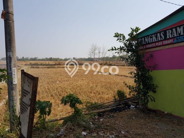 Tanah Investasi Dijual di Majalengka Punya Luas 2700m2 Tanah Investasi Dijual di Majalengka Punya Luas 2700m2