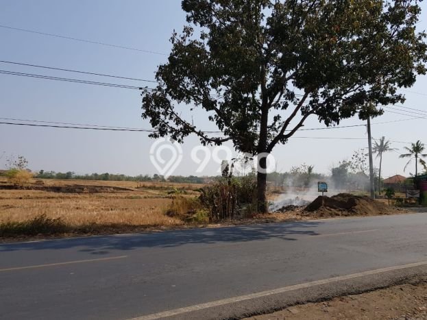 Tanah Investasi Dijual di Majalengka Punya Luas 2700m2 Tanah Investasi Dijual di Majalengka Punya Luas 2700m2