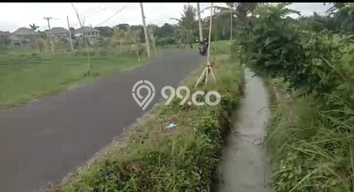 PENAWARAN MENARIK! Tanah Kawasan Tabanan, Luas 2m², Area Potensial PENAWARAN MENARIK! Tanah Kawasan Tabanan, Luas 2m², Area Potensial