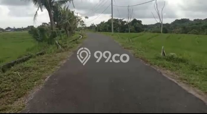 PENAWARAN MENARIK! Tanah Kawasan Tabanan, Luas 2m², Area Potensial PENAWARAN MENARIK! Tanah Kawasan Tabanan, Luas 2m², Area Potensial