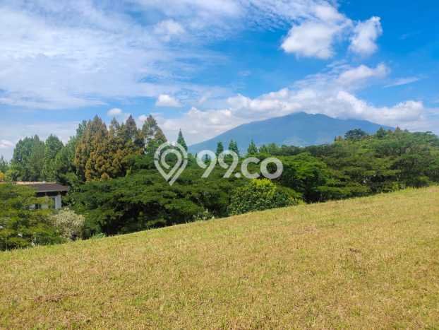 Tanah Dijual Area Strategis di Rancamaya Bogor 7487m2 Tanah Dijual Area Strategis di Rancamaya Bogor 7487m2
