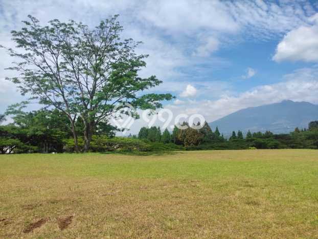 Tanah Dijual Area Strategis di Rancamaya Bogor 7487m2 Tanah Dijual Area Strategis di Rancamaya Bogor 7487m2
