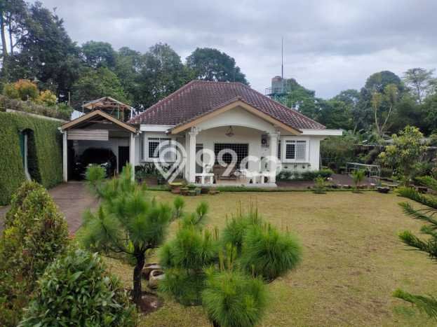 LOKASI STRATEGIS! Gudang di Ciawi, Luas 3000m², Area Komersial, Jalan Utama LOKASI STRATEGIS! Gudang di Ciawi, Luas 3000m², Area Komersial, Jalan Utama
