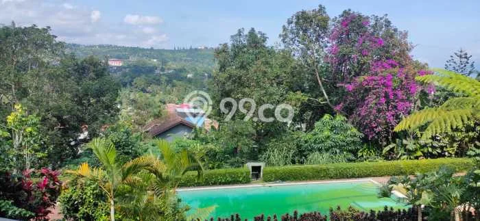 Vila Kawasan Megamendung, Luas 5305m2m², Cocok untuk hunian Anda Vila Kawasan Megamendung, Luas 5305m2m², Cocok untuk hunian Anda