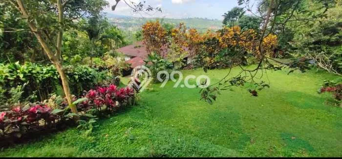 Vila Kawasan Megamendung, Luas 5305m2m², Cocok untuk hunian Anda Vila Kawasan Megamendung, Luas 5305m2m², Cocok untuk hunian Anda