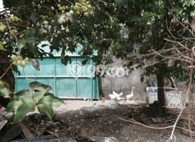 Dijual Tanah Area Berkembang di Denpasar Timur, Luas 532m², Akses Denpasar Timur, Denpasar, Denpasar Dijual Tanah Area Berkembang di Denpasar Timur, Luas 532m², Akses Denpasar Timur, Denpasar, Denpasar