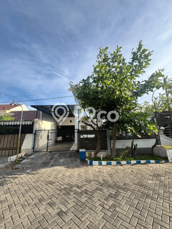 Jual Rumah Strategis Bagus Punya 3 KT di Rungkut Surabaya SHM Jual Rumah Strategis Bagus Punya 3 KT di Rungkut Surabaya SHM