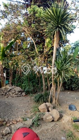 Lahan Strategis di Pandaan Dijual dengan Luas 1369m2 Lahan Strategis di Pandaan Dijual dengan Luas 1369m2