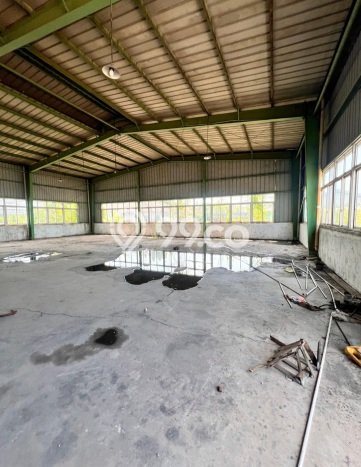 Gudang Bagus Dijual di Tugurejo Semarang Lokasi Strategis Cocok untuk Kembangkan Bisnis Gudang Bagus Dijual di Tugurejo Semarang Lokasi Strategis Cocok untuk Kembangkan Bisnis
