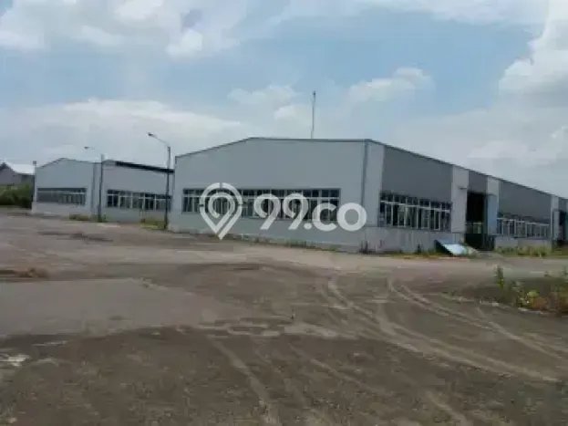 Gudang Bagus Dijual di Tugurejo Semarang Lokasi Strategis Cocok untuk Kembangkan Bisnis Gudang Bagus Dijual di Tugurejo Semarang Lokasi Strategis Cocok untuk Kembangkan Bisnis