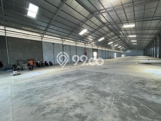 Unit Komersial Disewakan di Kendal Kawasan Strategis Harga Kompetitif Unit Komersial Disewakan di Kendal Kawasan Strategis Harga Kompetitif