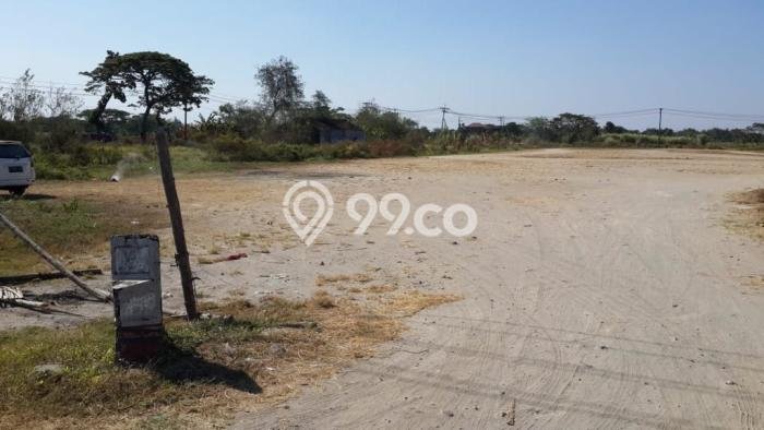 Lahan Kosong Dijual di Klaten dengan Area 13499m2 Lahan Kosong Dijual di Klaten dengan Area 13499m2