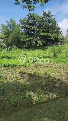 Tanah Dijual Area Strategis di Candi Golf Semarang 3600m2 Tanah Dijual Area Strategis di Candi Golf Semarang 3600m2