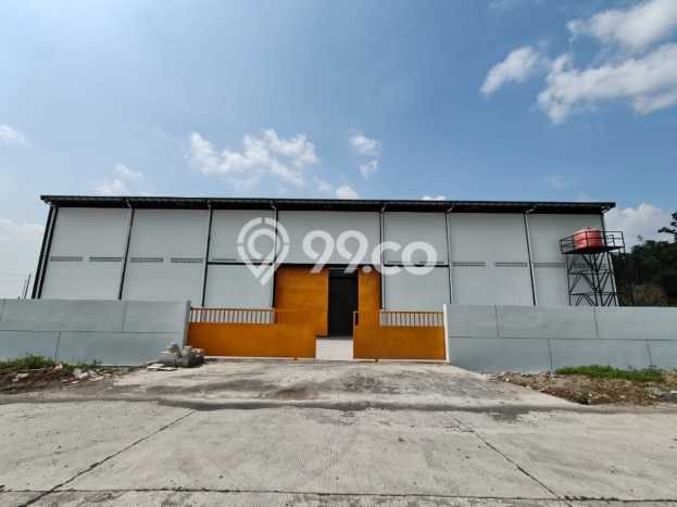 AREA BERKEMBANG! Gudang For Rent di Ngaliyan, Luas 1350m², Ready Bisnis AREA BERKEMBANG! Gudang For Rent di Ngaliyan, Luas 1350m², Ready Bisnis
