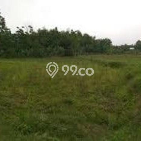 Dijual Tanah di Trawas Mojokerto Luas 1160m2 SHM Dijual Tanah di Trawas Mojokerto Luas 1160m2 SHM