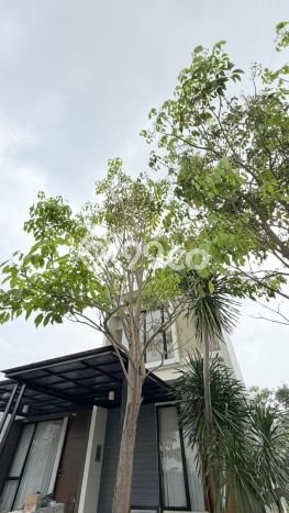 Hunian Nyaman Asri 2 KT Siap Huni di Citraland Surabaya Hunian Nyaman Asri 2 KT Siap Huni di Citraland Surabaya