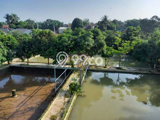 Dijual Hunian Mewah dengan Fasilitas Sekitar Komplit di Kemang, Bogor Dijual Hunian Mewah dengan Fasilitas Sekitar Komplit di Kemang, Bogor