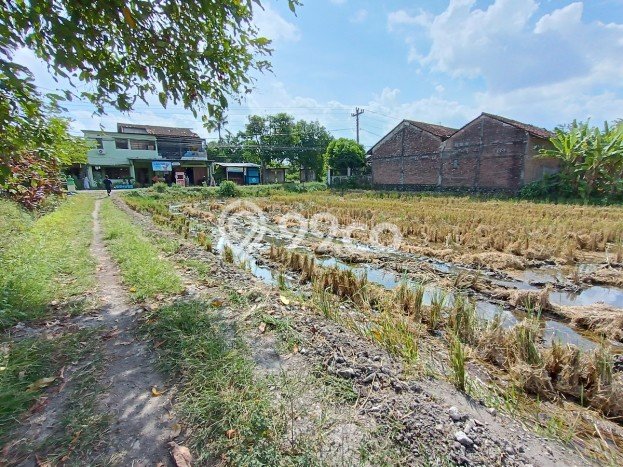HARGA MENARIK! Tanah di Berbah, Luas 144m2m², Kawasan Potensial HARGA MENARIK! Tanah di Berbah, Luas 144m2m², Kawasan Potensial