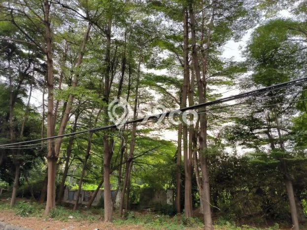 Kavling Tanah di Cempaka Putih Dijual Luas 8136m2 Legalitas - Kavling Tanah di Cempaka Putih Dijual Luas 8136m2 Legalitas -