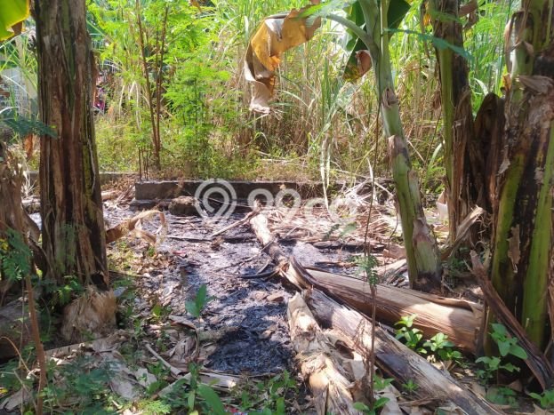 Lahan Kosong Dijual di Koja, Jakarta Utara, Luas 712m2 Area Strategis Lahan Kosong Dijual di Koja, Jakarta Utara, Luas 712m2 Area Strategis