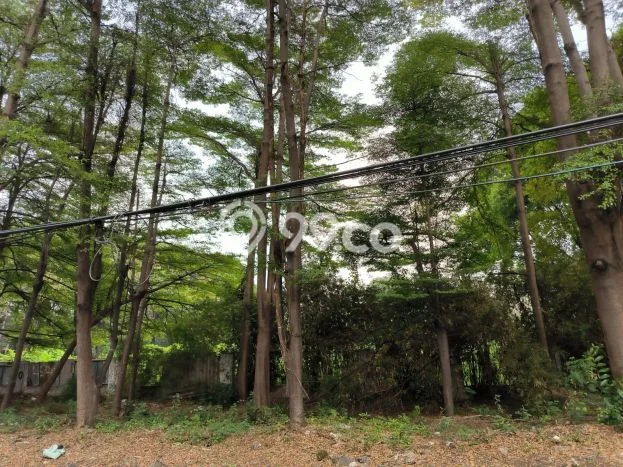 Kavling Tanah di Cempaka Putih Dijual Luas 8136m2 Legalitas - Kavling Tanah di Cempaka Putih Dijual Luas 8136m2 Legalitas -