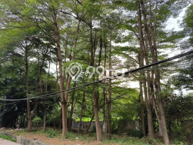Kavling Tanah di Cempaka Putih Dijual Luas 8136m2 Legalitas - Kavling Tanah di Cempaka Putih Dijual Luas 8136m2 Legalitas -