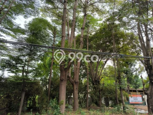 Kavling Tanah di Cempaka Putih Dijual Luas 8136m2 Legalitas - Kavling Tanah di Cempaka Putih Dijual Luas 8136m2 Legalitas -