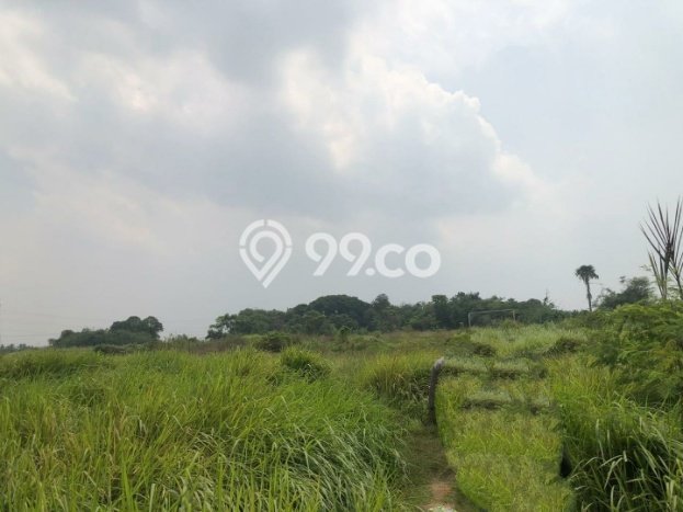 Tanah di Cikande, Serang Luas 29000m2 Dijual Segera Tanah di Cikande, Serang Luas 29000m2 Dijual Segera