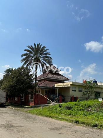 Rumah Cantik Siap Huni Di Parung Panjang Luas 46m2 Lokasi Strategis Rumah Cantik Siap Huni Di Parung Panjang Luas 46m2 Lokasi Strategis