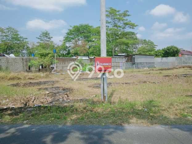 Jarang Ada! Tanah di Sleman Punya Luas 1627m2 SHM Jarang Ada! Tanah di Sleman Punya Luas 1627m2 SHM
