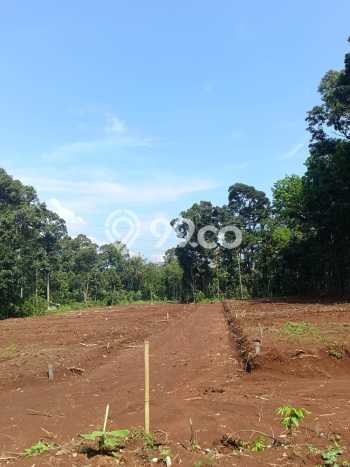 Lahan Kosong Dijual di Gunung Pati, Semarang, Luas 120m2 Area Strategis Lahan Kosong Dijual di Gunung Pati, Semarang, Luas 120m2 Area Strategis