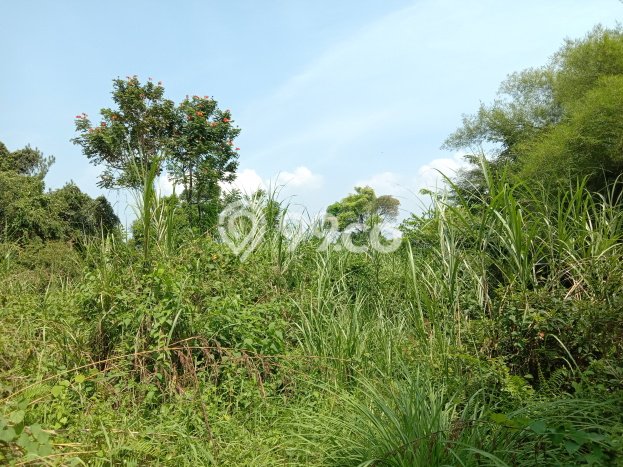 Tanah Kavling Dijual di Bogor dengan Spesifikasi 2123m2 Tanah Kavling Dijual di Bogor dengan Spesifikasi 2123m2