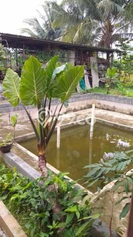 Dijual Tanah 800m2 di Sentul City, Bogor Dijual Tanah 800m2 di Sentul City, Bogor